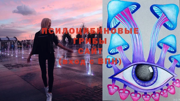 трава Армянск