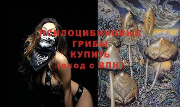 МДПВ Аркадак