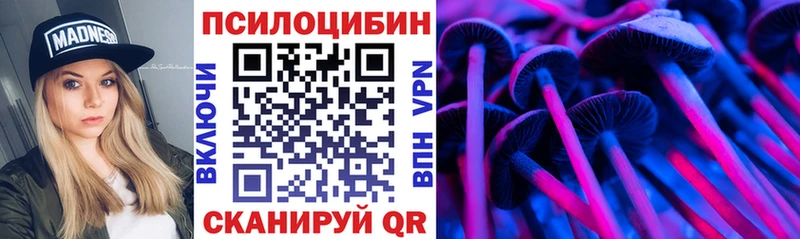 где можно купить наркотик  hydra ONION  Псилоцибиновые грибы Cubensis  Туймазы 